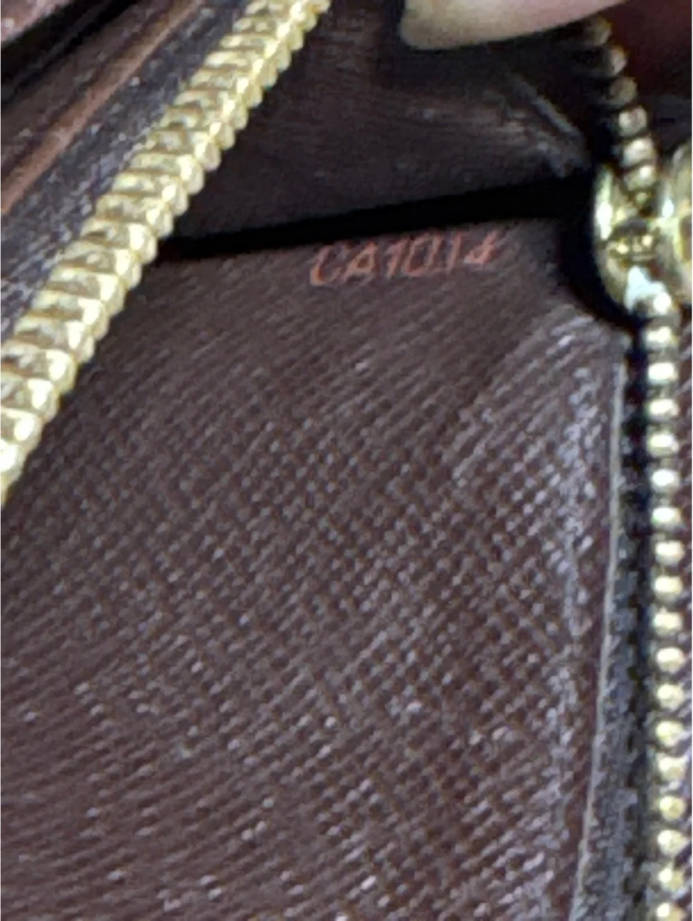 Louis Vuitton authentic louis